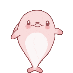 第二弹这可爱的中华白海豚表情包又来了