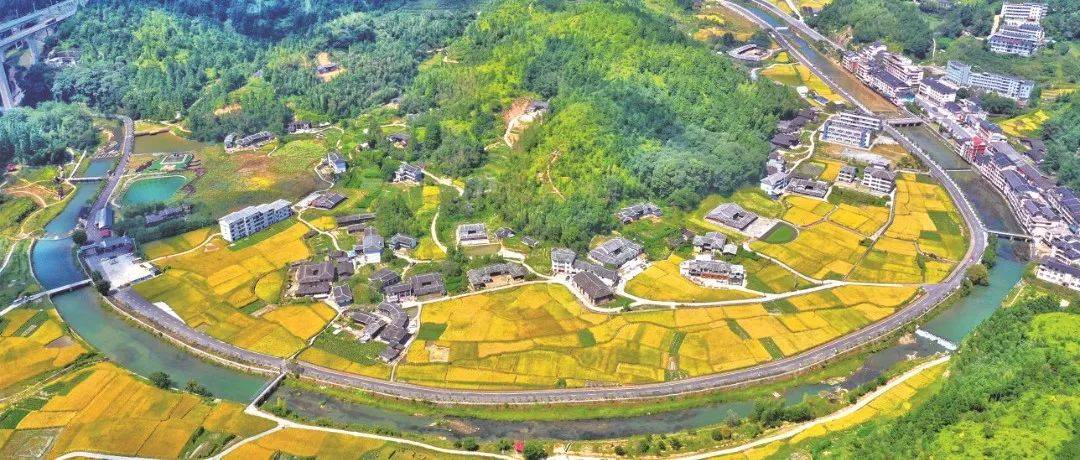 泉州市“七个到位”扎实开展乡村“五个美丽”建设_工作_晋江市_评选