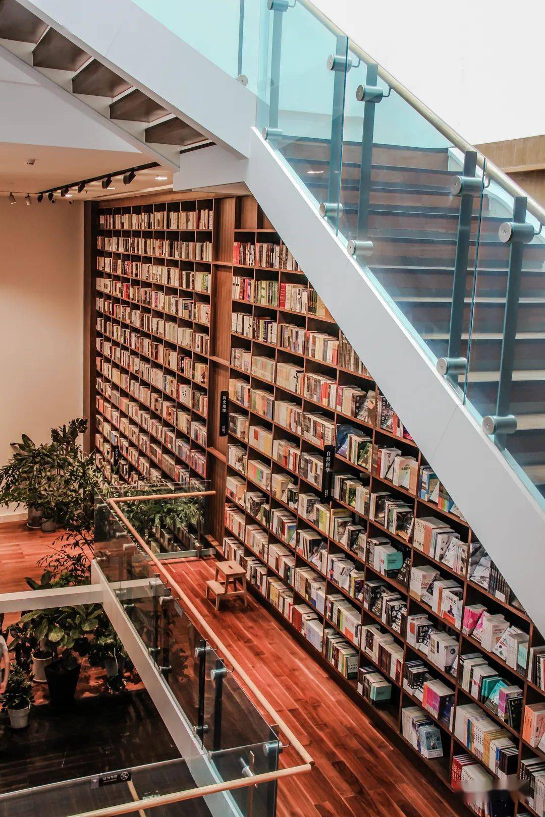 书中日月桃源之光书馆藏着一处书香满满的桃花源