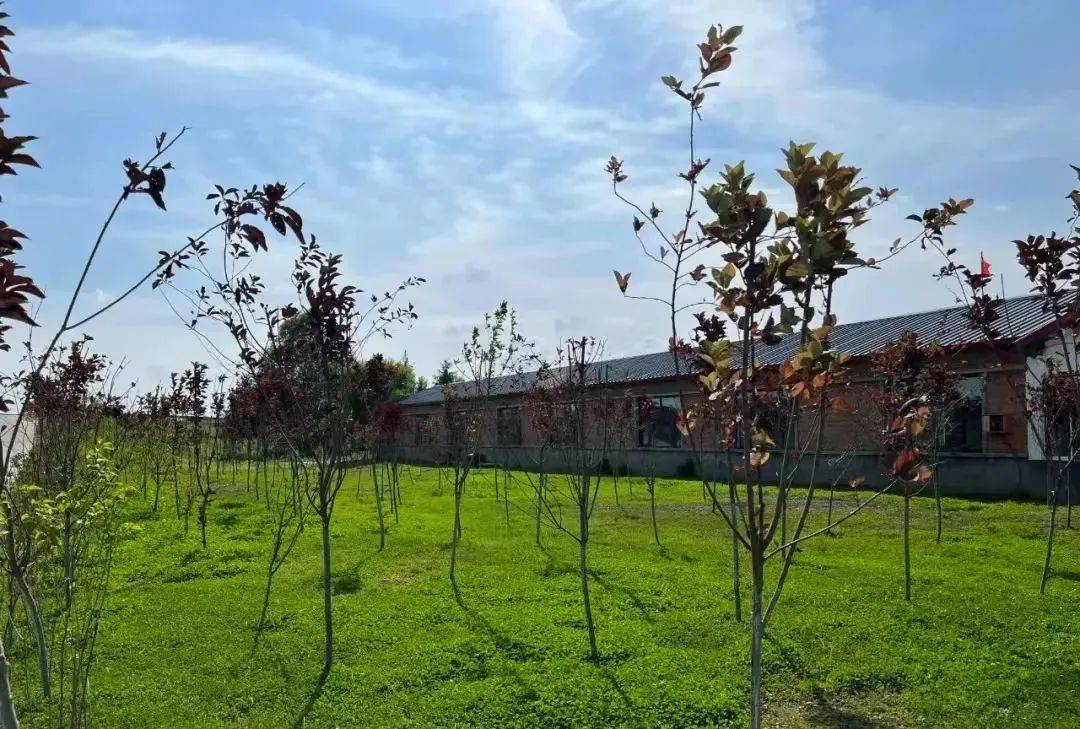 【乡风文明试点村镇建设】嘉荫县朝阳镇:最美朝阳 携文明而行_活动