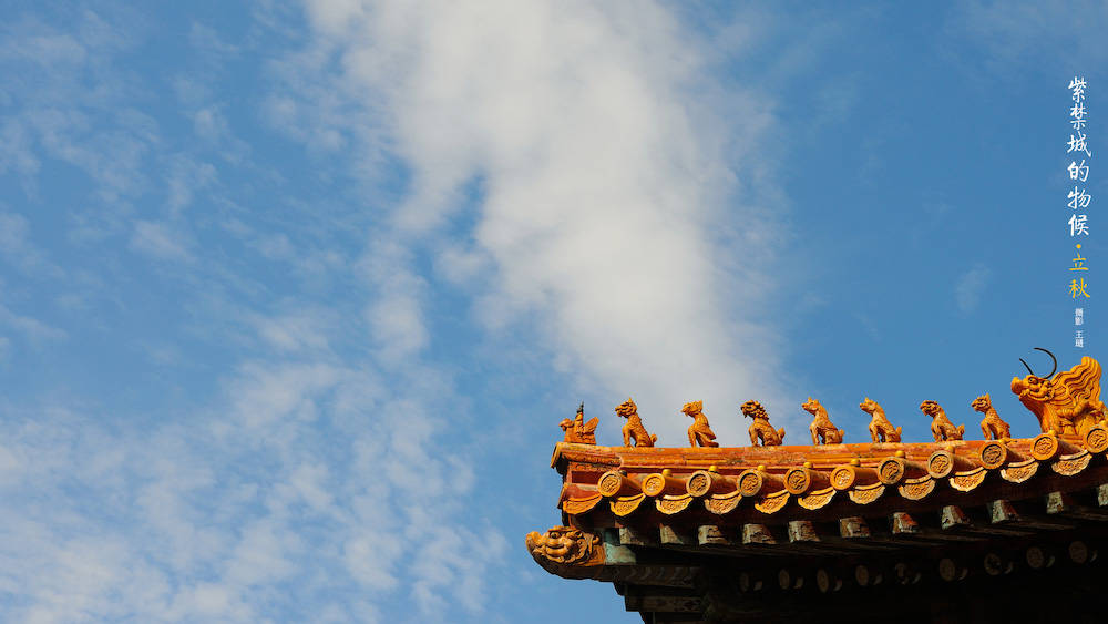 在“二十四节气”里读懂中国丨立秋：山容便与新秋净，稻花已作丰年香_梧桐_人们_暑热