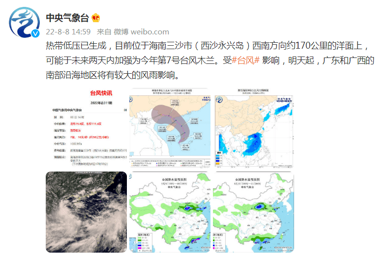 夏台凤多大年龄图片