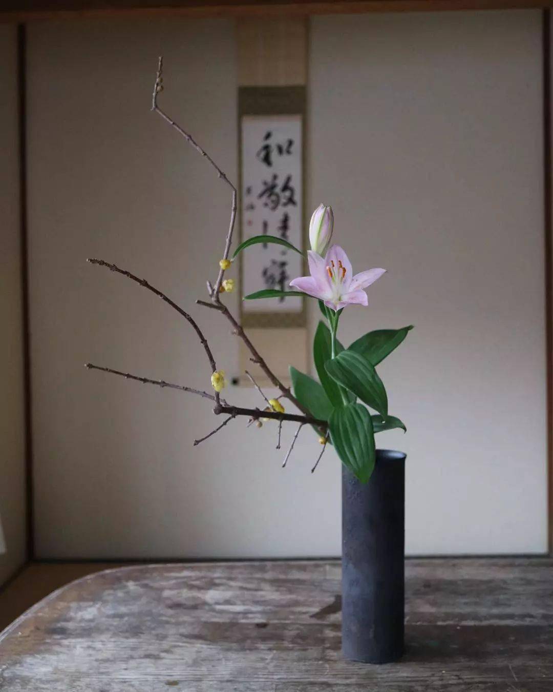 禅意插花_日本_中国_自然