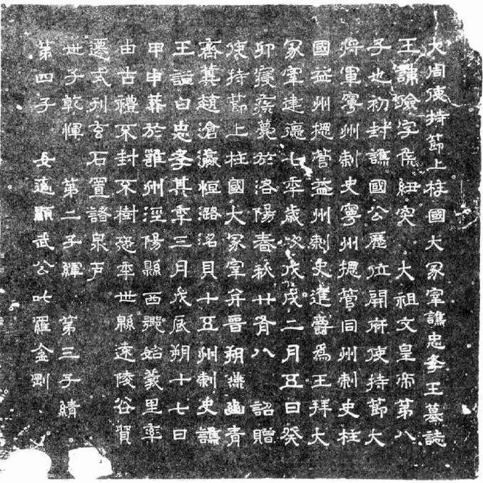 发现宇文俭_大冢_墓志_柱国