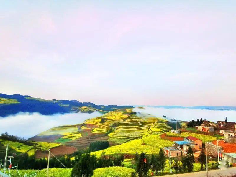 【乡村振兴】曲靖罗平县马街镇革岗村:打好两张"王牌" 接续乡村振兴