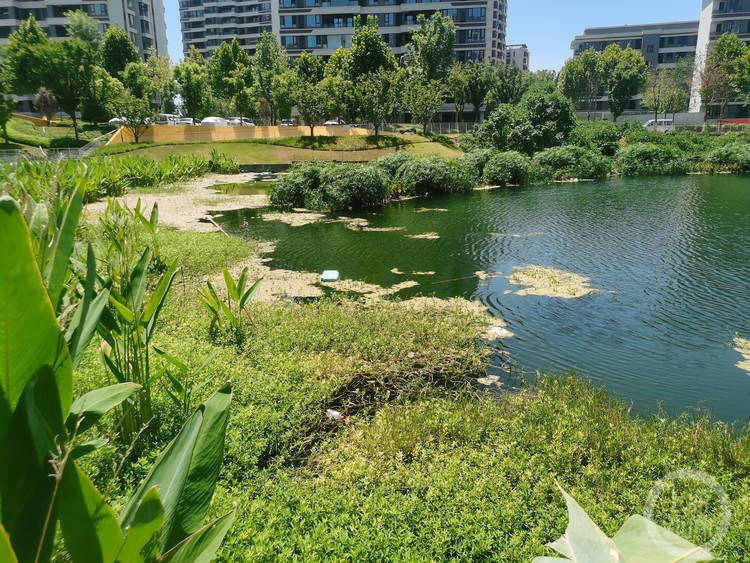 上游帮忙北碚蔡家这个公园不仅脏乱差还存在安全问题