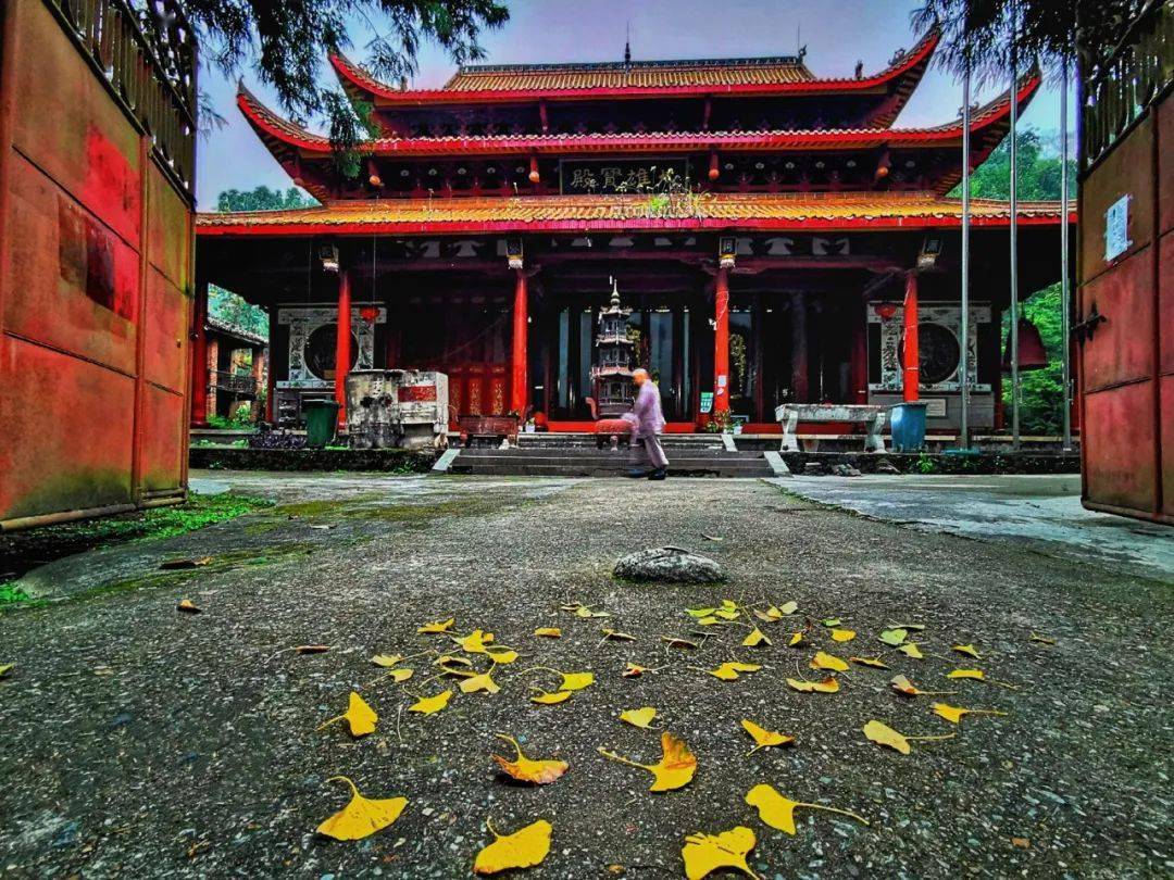 寺中的建筑物大多被这些大树遮蔽掩映,让云岩寺真正成为一座山林中的