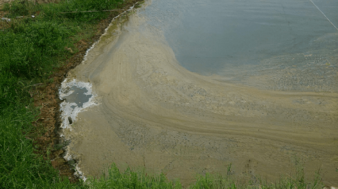 藻相不稳,水体保温能力差,更加容易出现水体对流,倒藻,返底等现象.