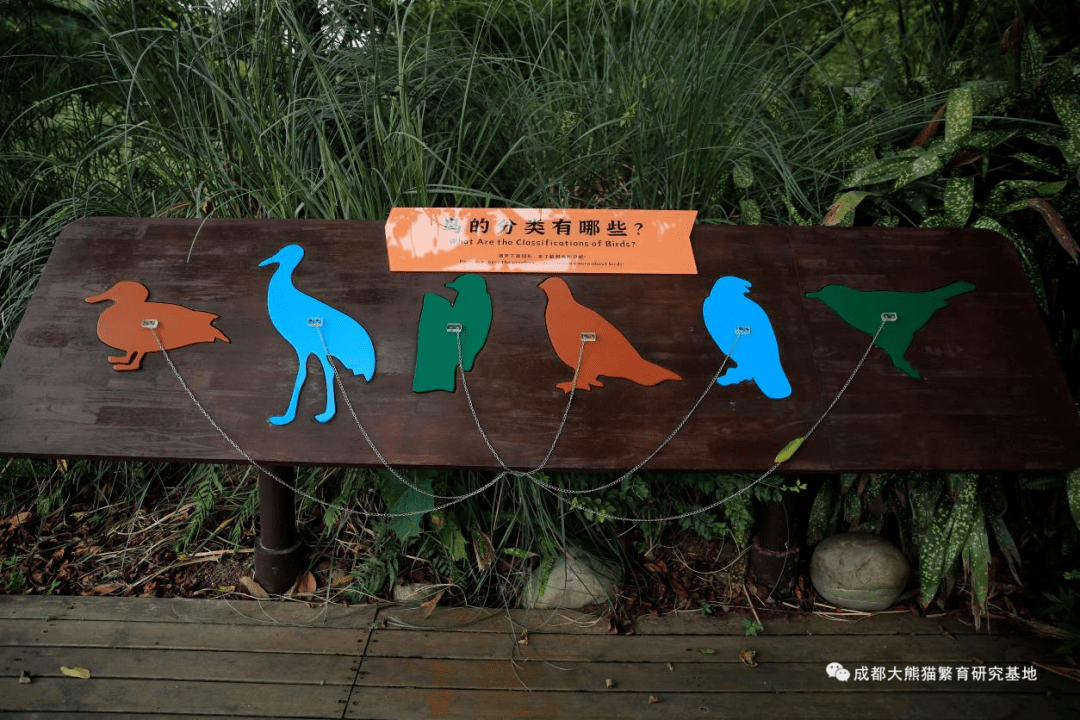 鸟类科普展示花样多公众观鸟爱鸟兴趣浓