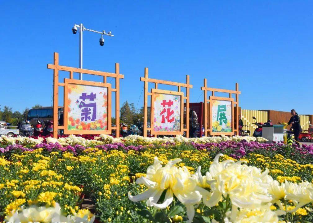 【迎旅盟 看鹤岗】醉美宝泉岭 多彩生态园_游人_旅游_北大荒