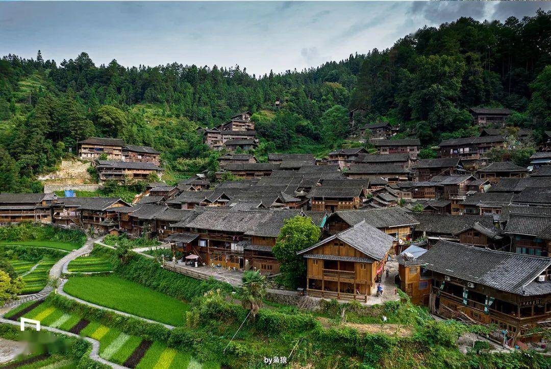 雷公山,正在成為貴州的自駕新寵!|中國自駕地理_苗寨_吉源_山脈