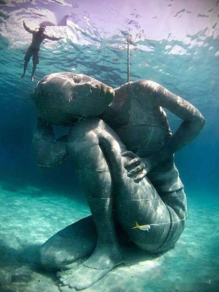 网友分享水下世界里的惊奇画面,有些真是又吓人又迷人!