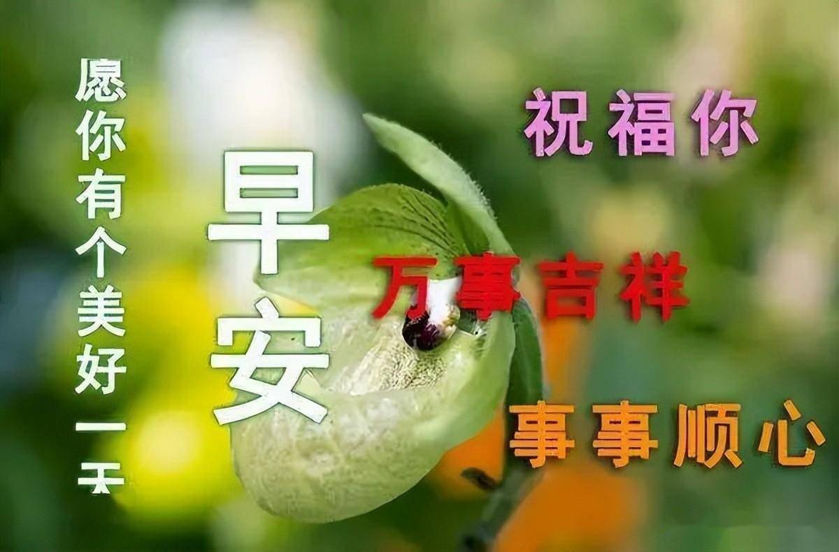 秋日最新早上好表情問候天氣炎熱願老朋友們保重身體