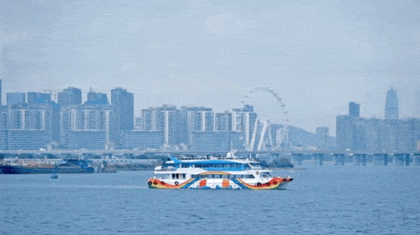 “海上彩虹号”～宝安首条海上观光航线8月13日开航！
