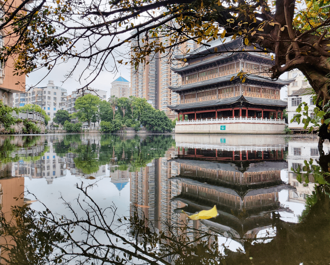 后街社区底蕴深厚(点击查看"温州乐清柳市老街风貌"),诞生了柳市历史