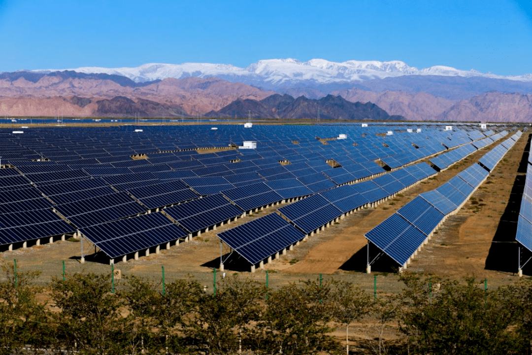 存在這些情形的光伏電站可能面臨清理整改_林地_國土_林光