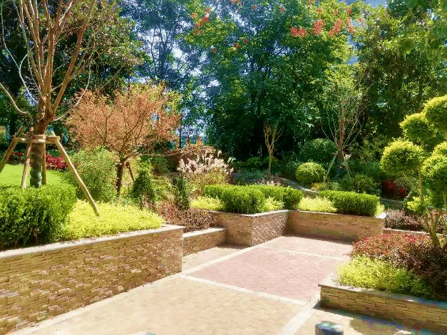 探索 賞美景 學知識 一起打卡家門口的特色口袋公園 花園 地址 通南路 Standardsgarden