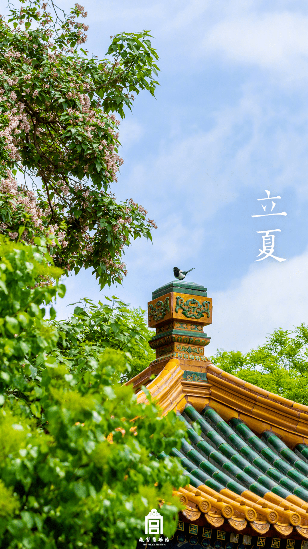 终于能把故宫美图一网打尽了!那些惊艳过你的四季壁纸都在这里