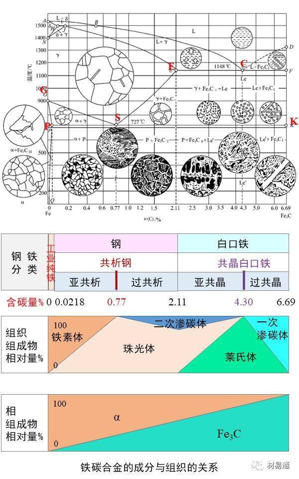 一组图看懂金相组织