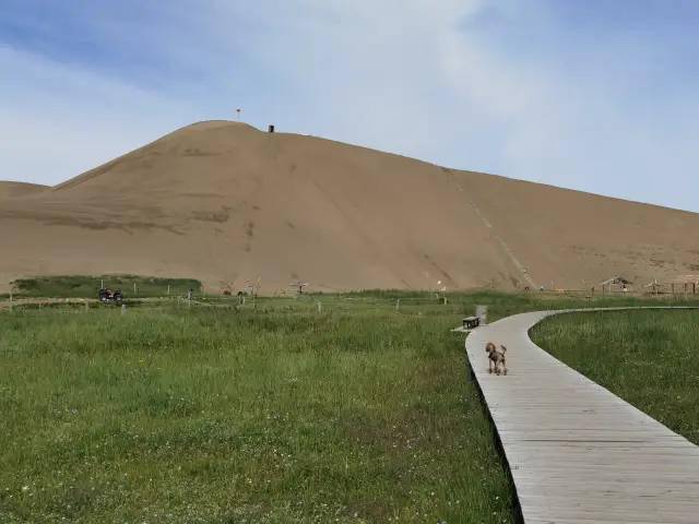 巴里坤鸣沙山图片