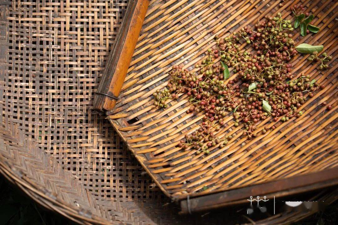 源于ib到cas项目 支持中学生链接社会 做 问题解决者 花椒 嘉绒 丹巴