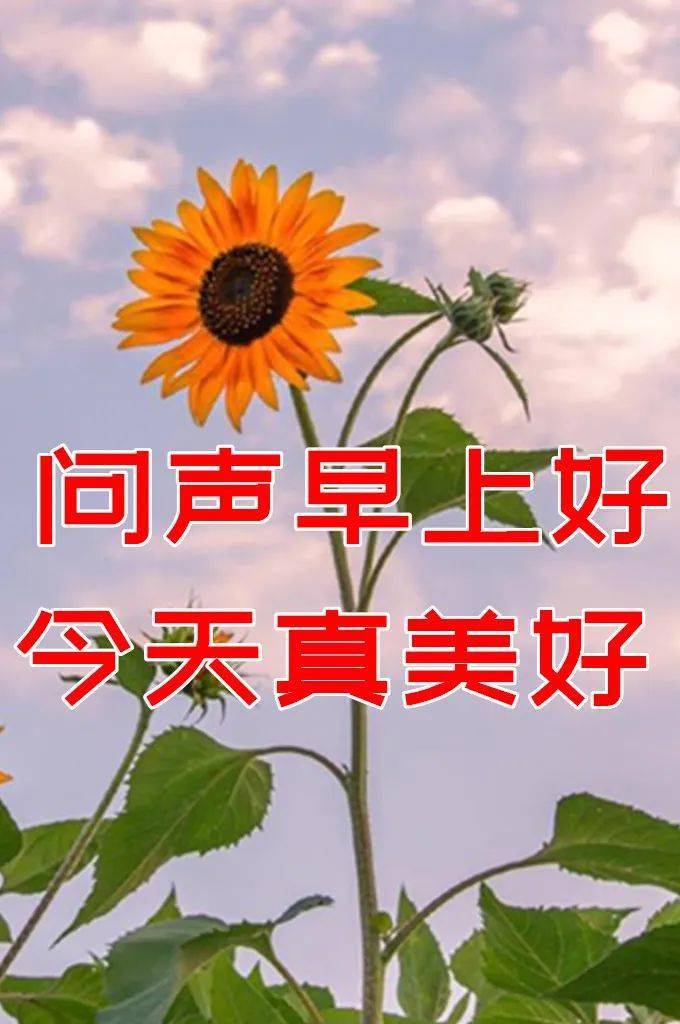 73遠方的老同學,週一聯絡你,是想帶給你一份快樂;週二聯絡你,是想