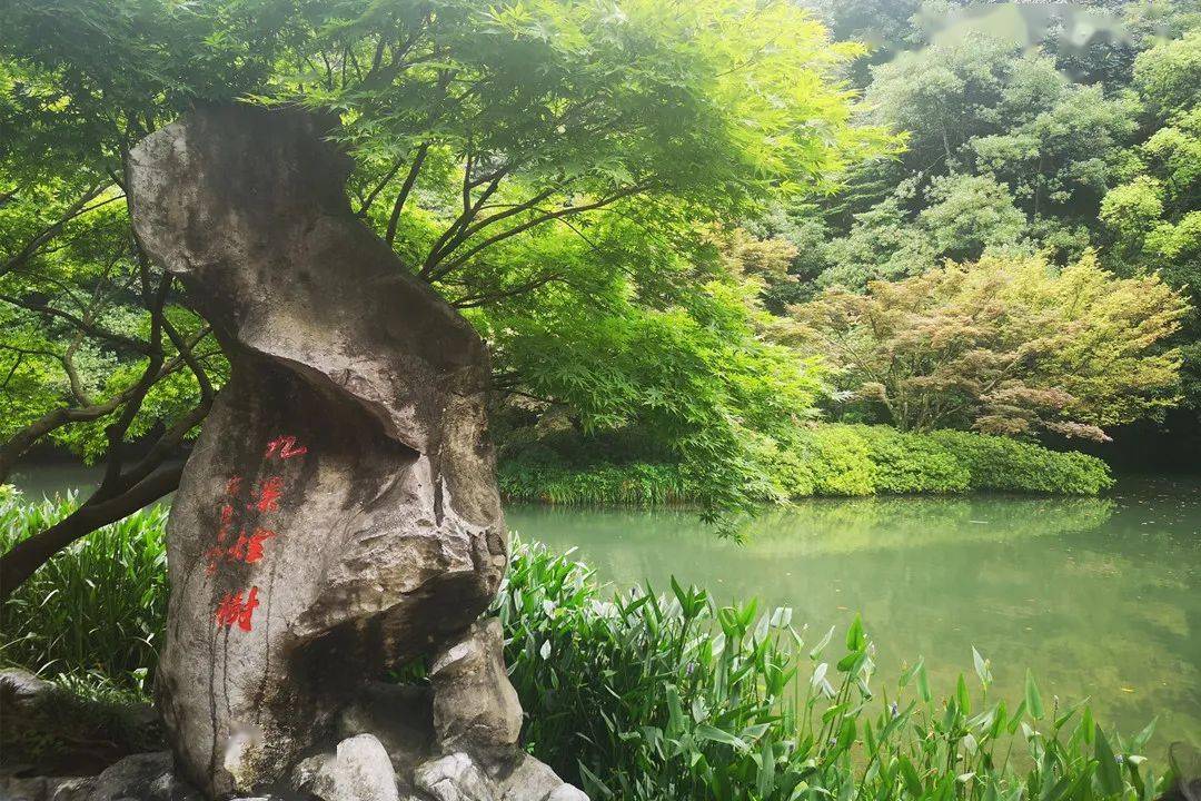 九溪的主景是水漫步九溪旁好似走进了花果山水帘洞扑面而来的是带着水