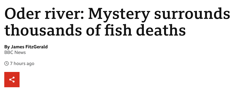 德波界河奥得河突现成吨死鱼，原因不明，两波兰官员被解雇