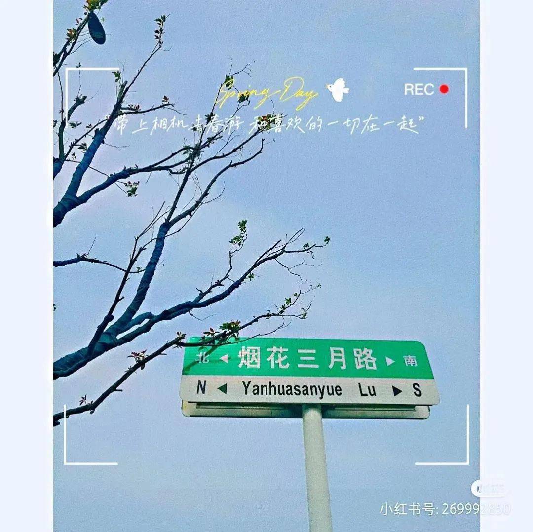 我在城市拾荒拾捡了这些宝藏