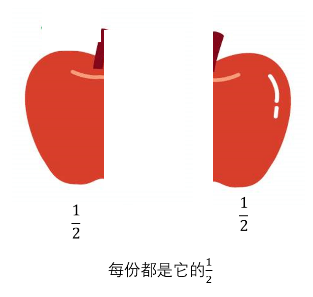 一课研究之《分数的初步认识》教学设计_分之一_苹果_操作