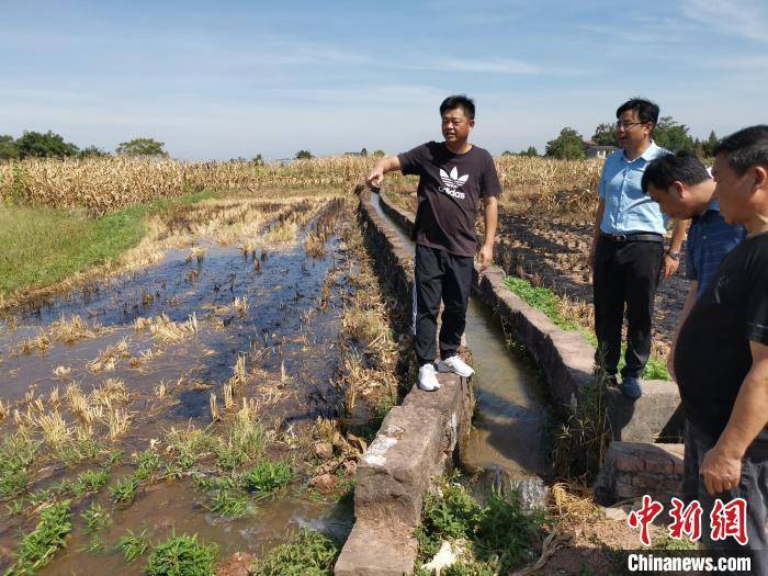 高温致重庆33个区县部分地区土壤轻到重度缺墒 正全力抗旱保供水