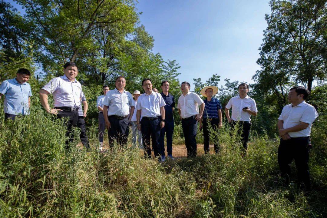 8月15日,安陆市委副书记,市长黄国威带领市应急管理局,农业农村局