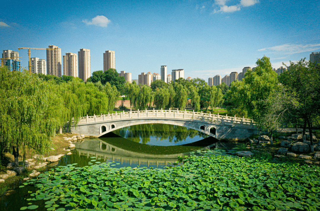 天津西沽公园图片