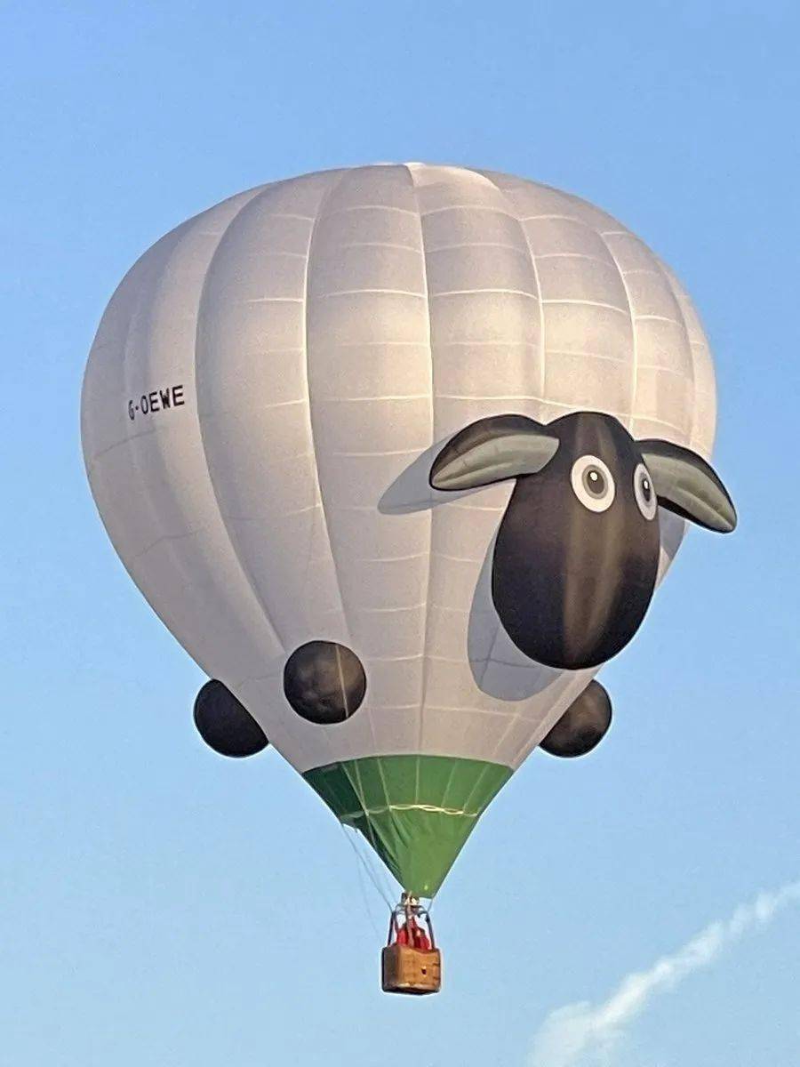 有动物形状的热气球95图源:推特当然,也不全是传统印象中的热气球