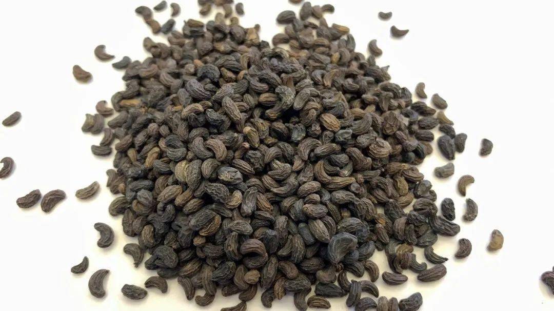 3d干燥的地上部分c干燥的成熟果实b干燥的全草a干燥的成熟种子中药