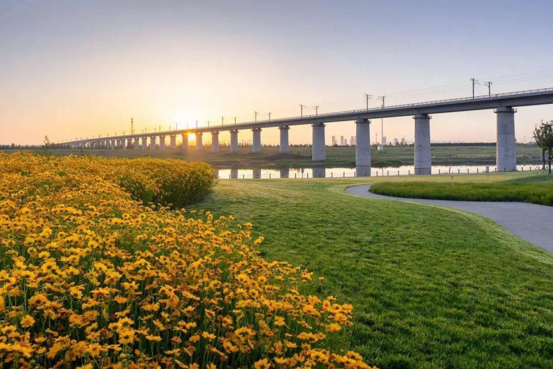 滨水景观,居然可以这么美!_河堤公园_设计_进行