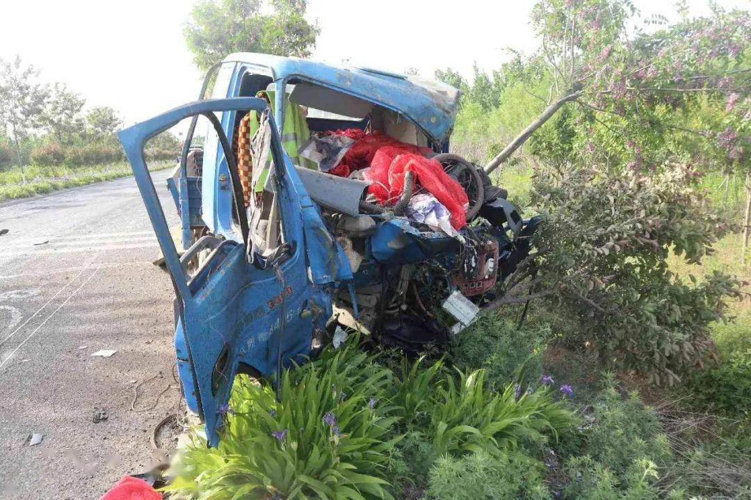 日照战某全,王某杲终生禁驾!其中一人仅25岁!_机动车_驾驶证_有期徒刑
