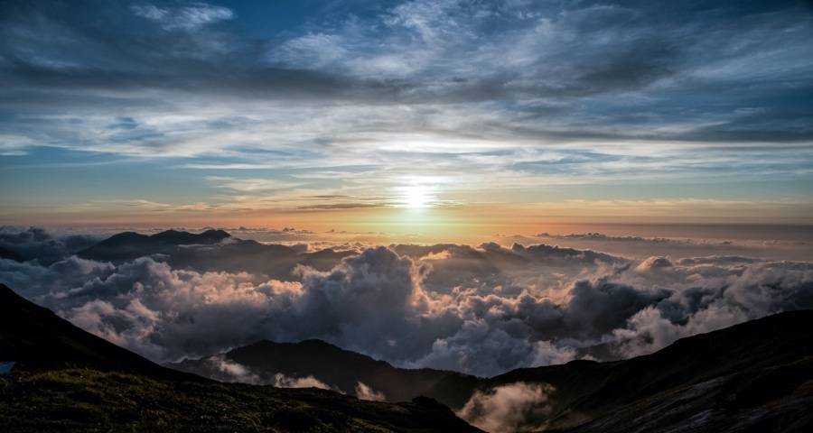 今年下半场家电业争霸赛打法生变-家电圈官网