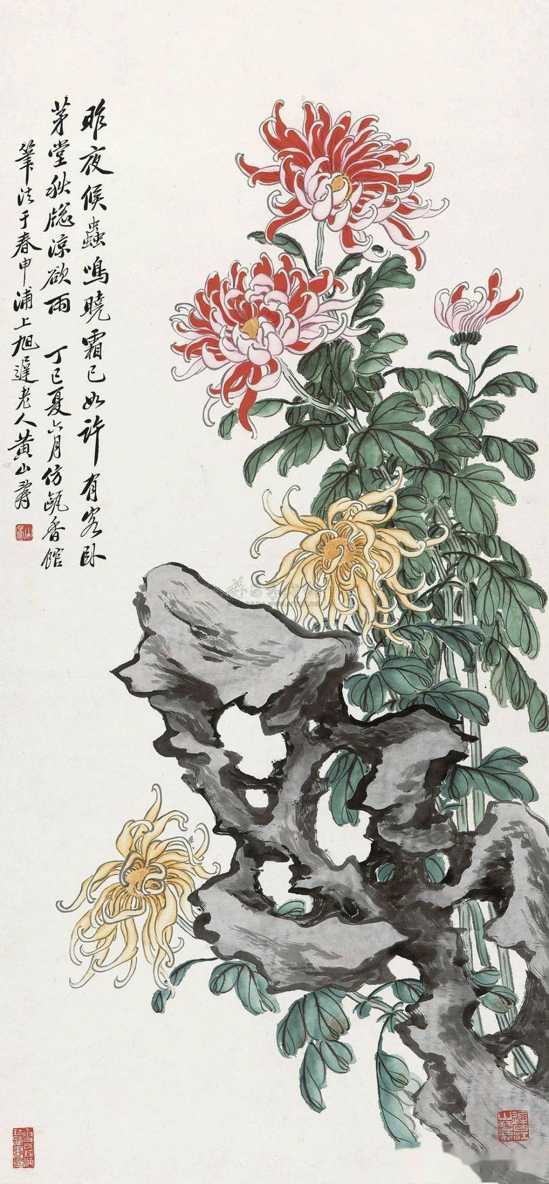 【名品视界】黄山寿画菊_名家_艺术界_鉴定