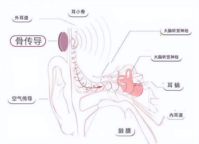 我运动，我健康，我快乐，南卡Runner 3 Pro为运动增添乐趣