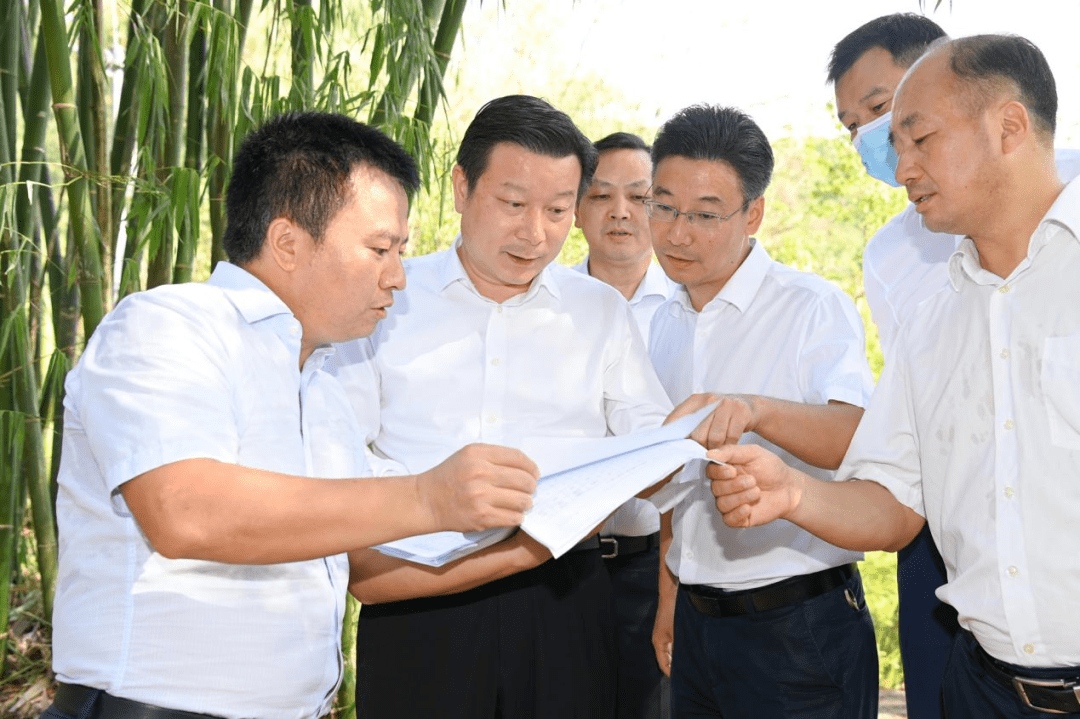 8月19日,市委常委,两江新区党工委书记张鸿星前往湖库,森林公园,在建