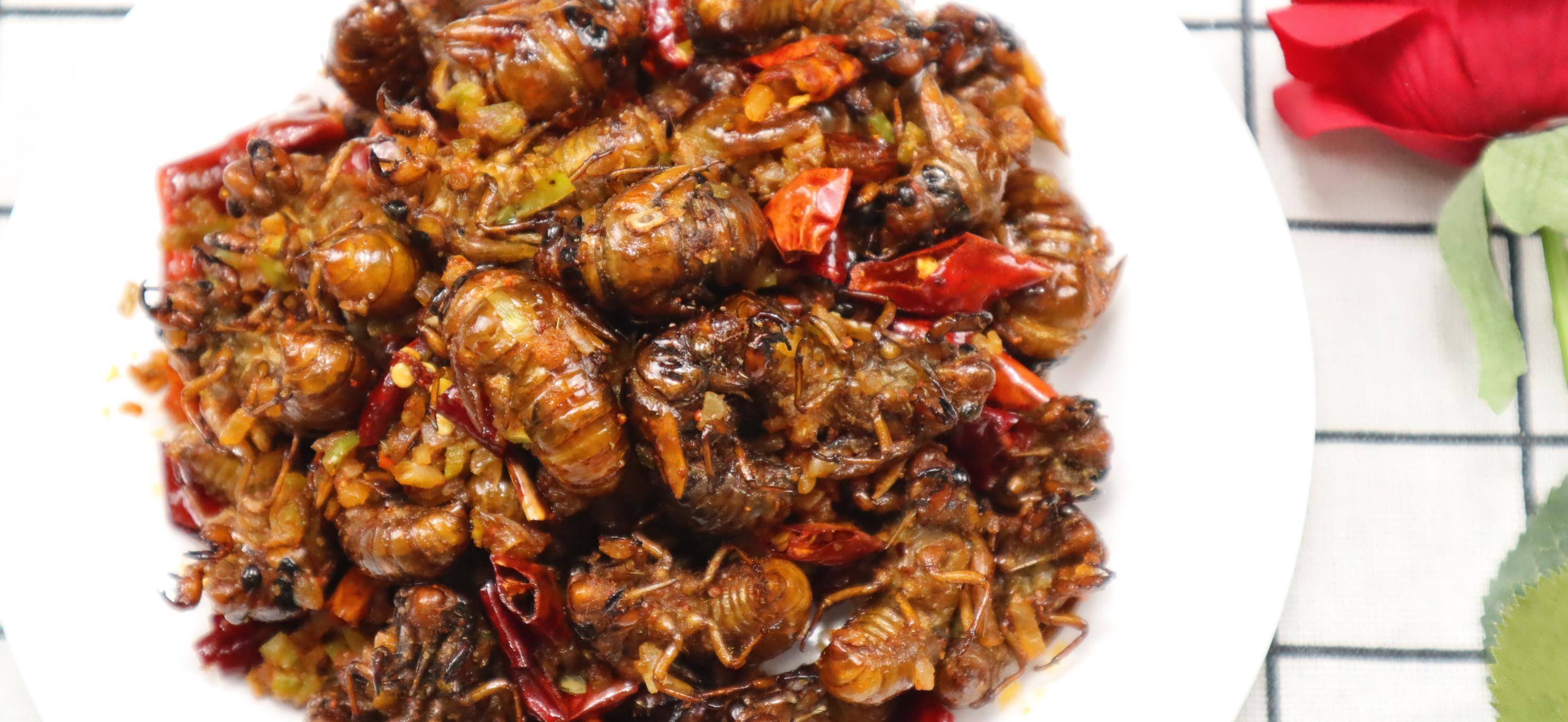 农村小伙忙了半夜才捉了几十只知了猴,回家一炸一炒,吃着真过瘾_辣椒