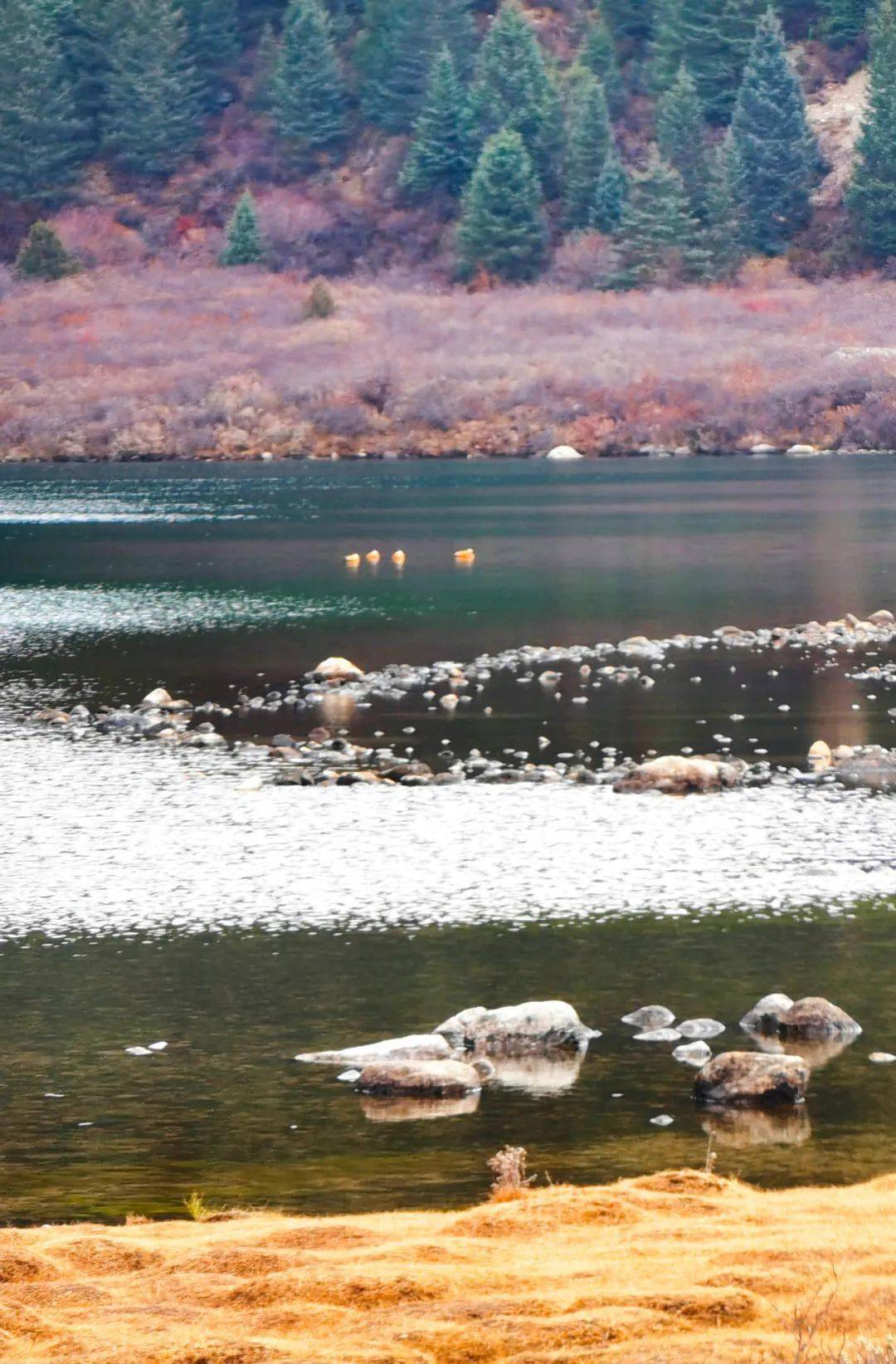 措普湖沿山体一侧还有一个小湖