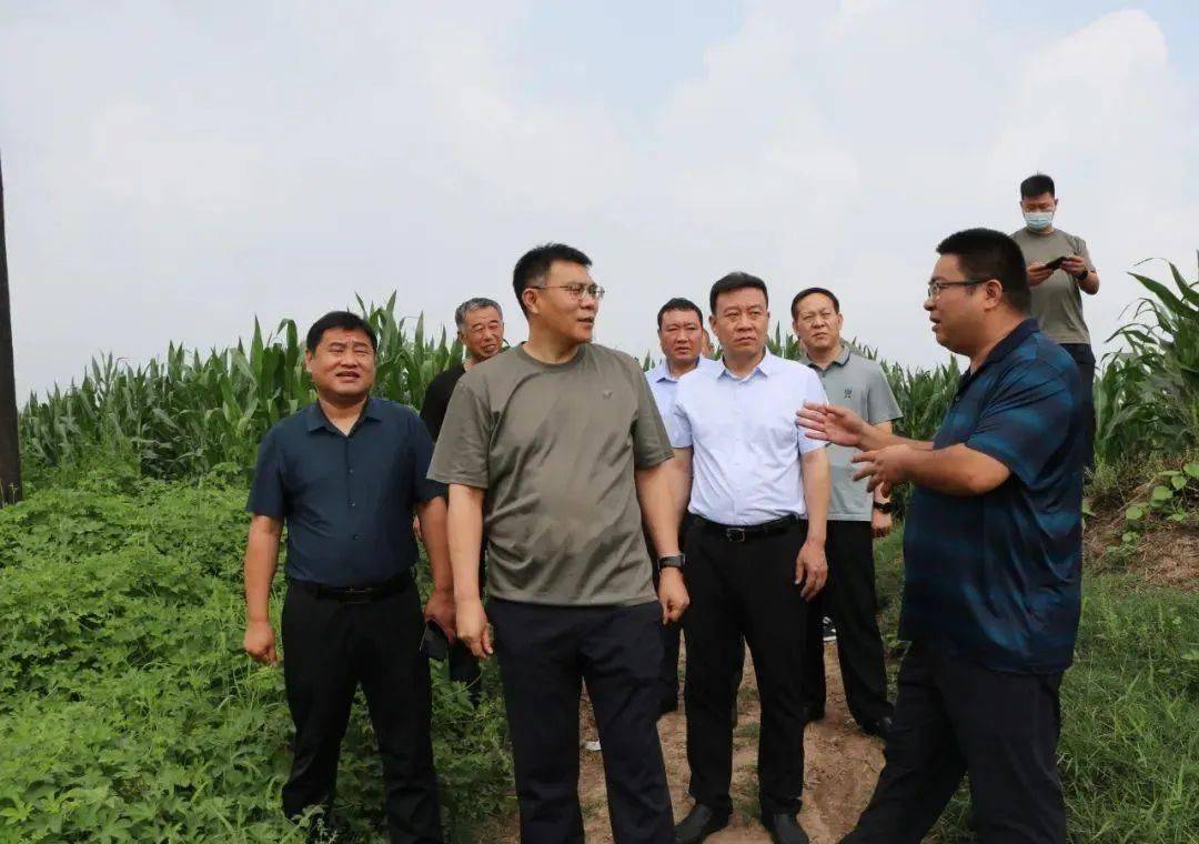 宁晋县7月27日,南和区委副书记,政府区长张守锋调研防汛备汛工作.