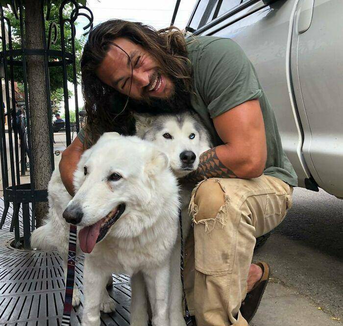 30张照片告诉你明星都养什么狗,网友:巨石强森你那个是狗吗_凯莉