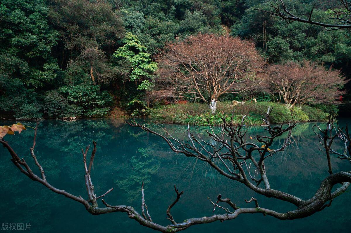 郭進拴|遊九溪煙樹_西湖_九溪十八澗_細流