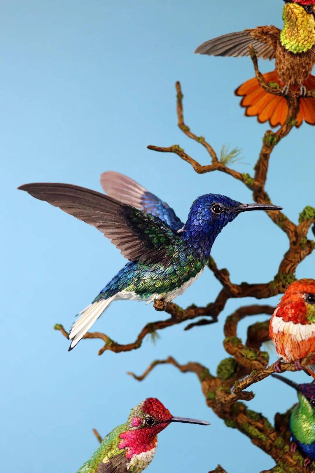 peacock butterflypoetry birdold paper robineuropean robin on a