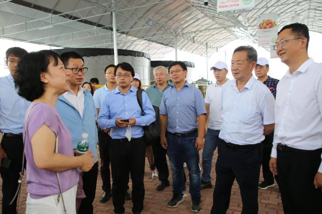 镇古城村白崖城景区,铁柱庙景区,大理弥渡数字农业公园,平坝海等地,实