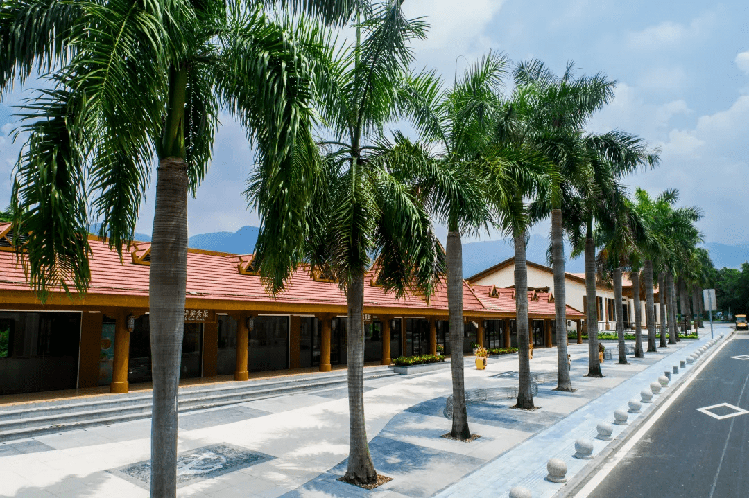 【厦门同安田园竹坝丨栖竹·朴舍民宿】去过城市人向往的田园生活