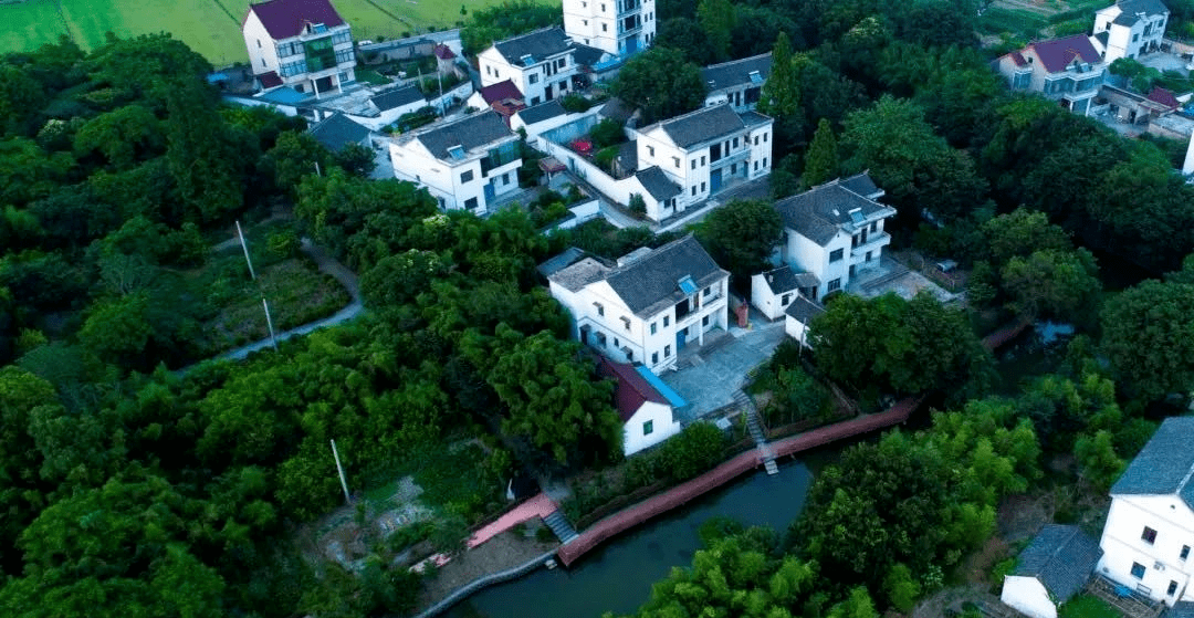 海盐这个村排名全市第一!是你们村吗?_金星村_景区_乡村